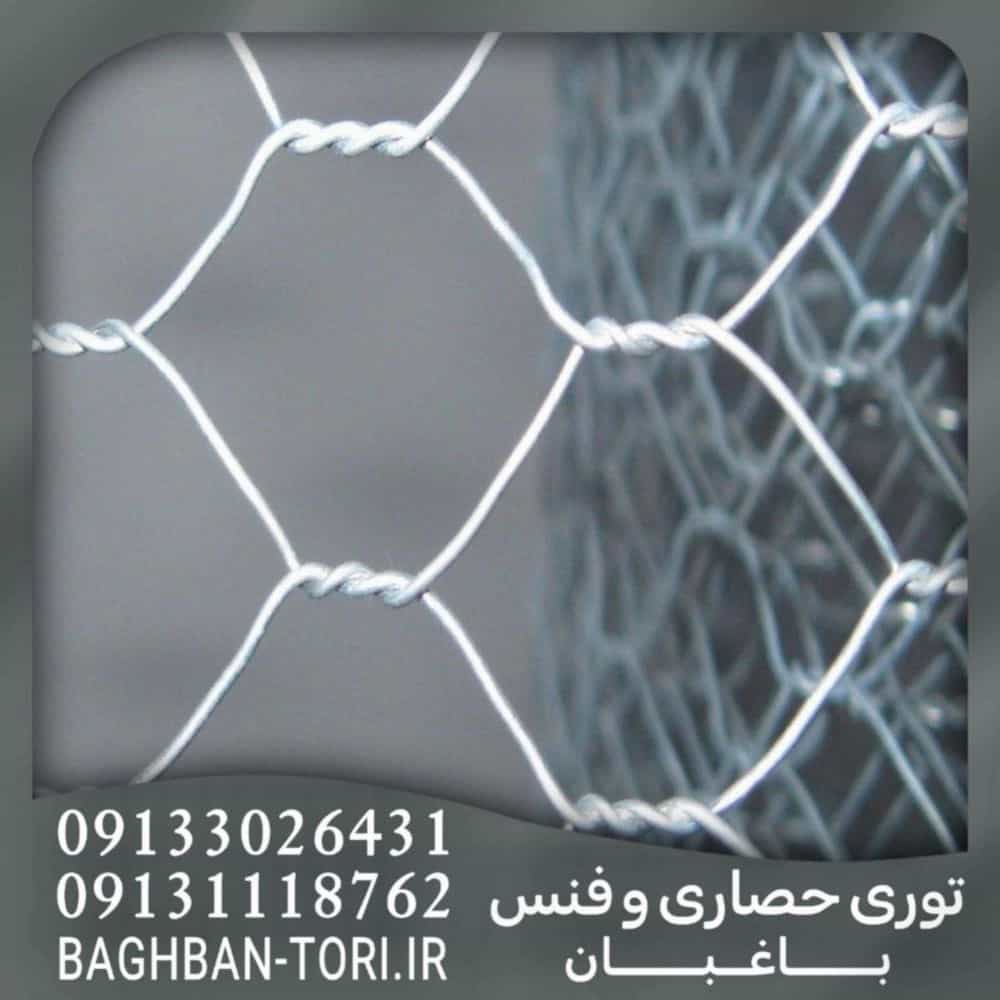 1746689150586.webp